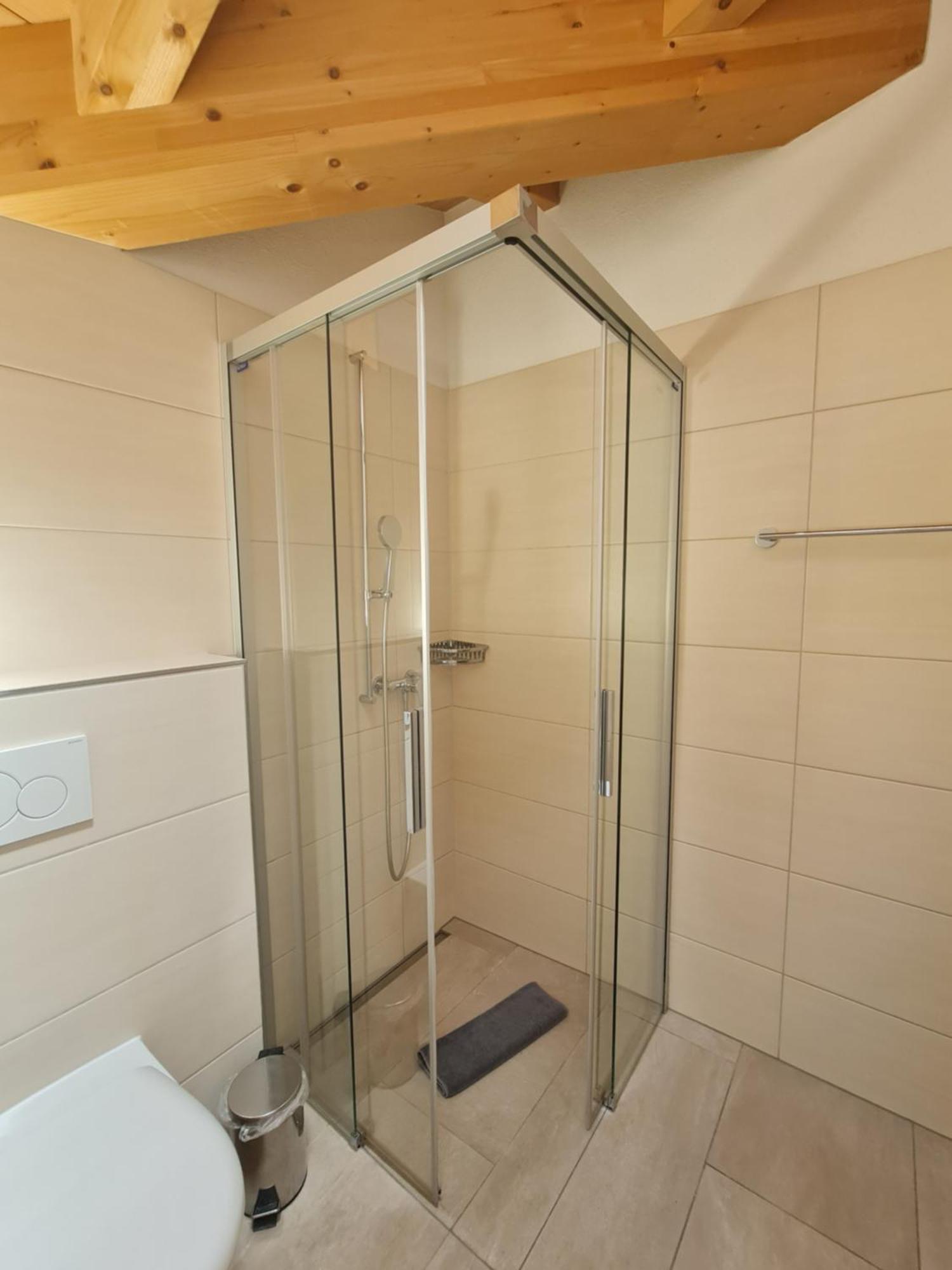 Jungfrau Penthouse - Aare Jungfrau Ag Apartment Wilderswil Exterior photo